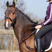 Bettlöst Träns Sunna Svart Bettlöst Träns Sunna Svart