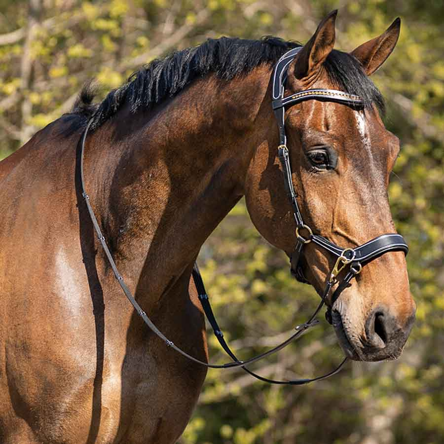 Bettlöst Träns Anatomical Svart