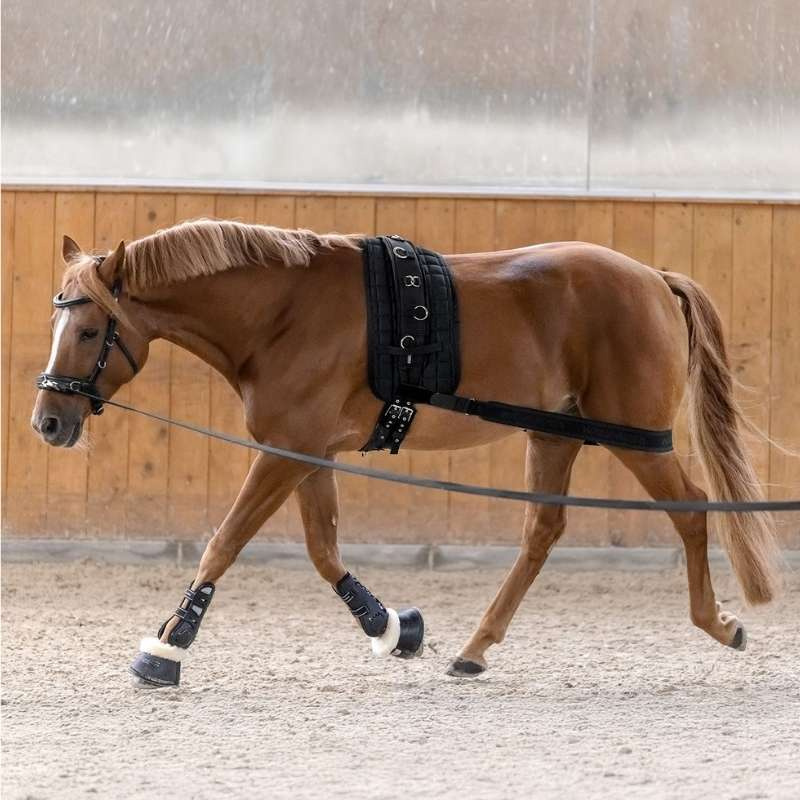 Kapson Leather Anatomic Svart