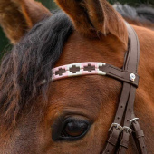 Pannband Polo X-Line Brun/Rosa Pannband Polo X-Line Brun/Rosa