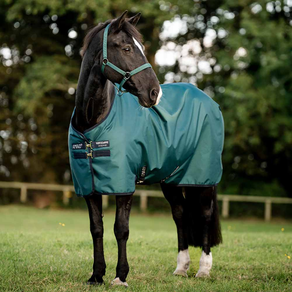 Regntäcke Amigo Ripstop 900D 0g Grön/Marinblå/Silver