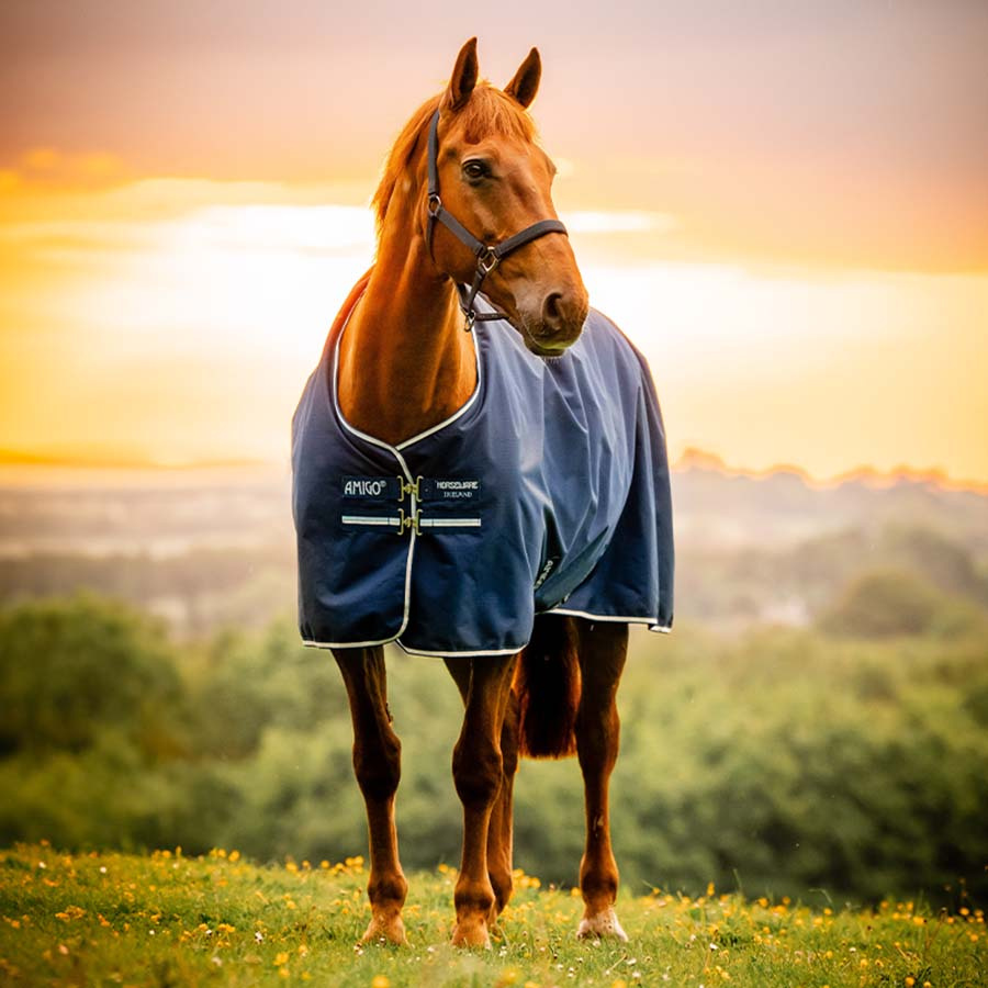 Regntäcke Amigo Ripstop 900D Fleece Lined 50g Witney Navy