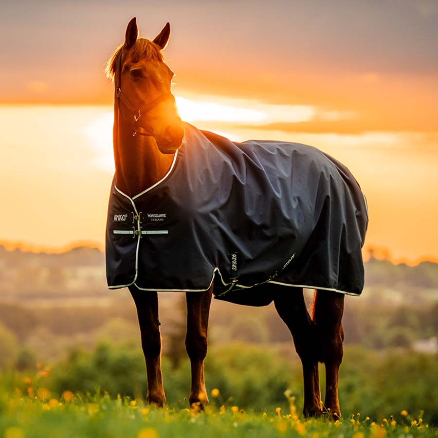 Regntäcke Amigo Ripstop 900D Fleece Lined 50g Witney Navy