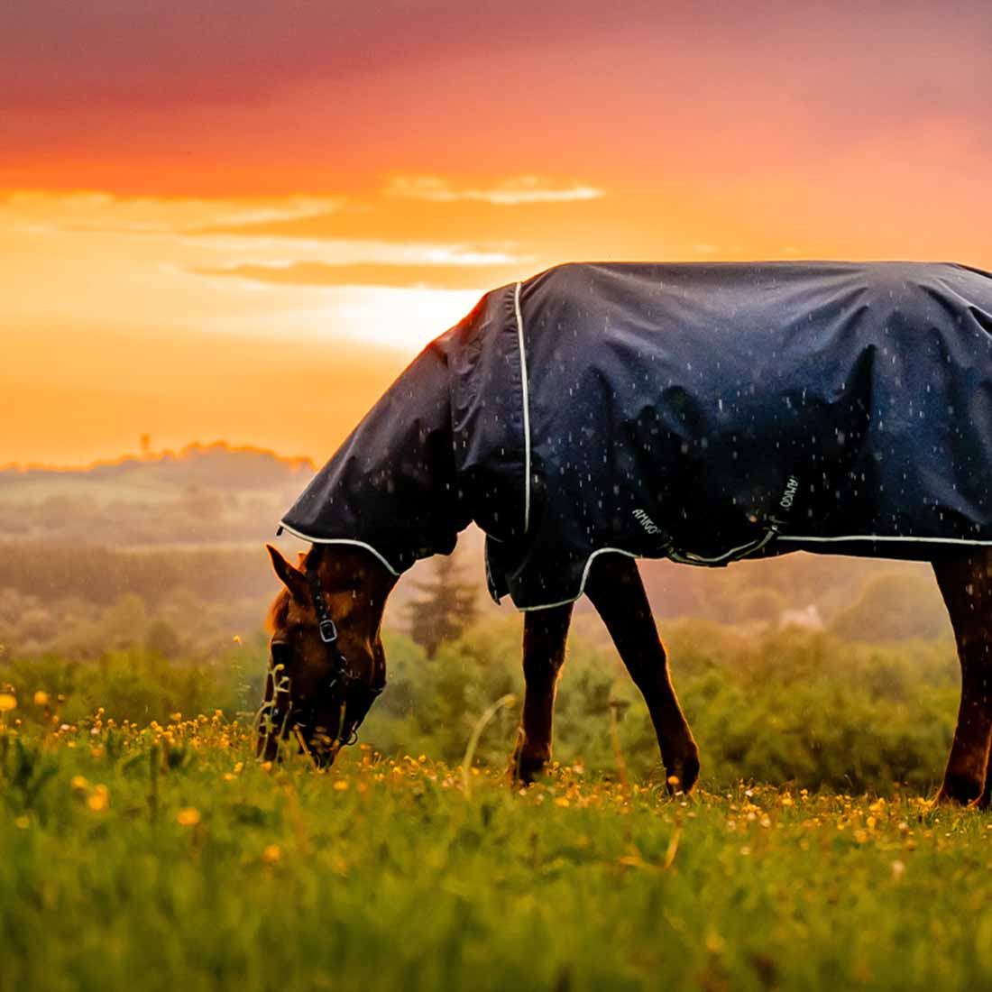Regntäcke Amigo Ripstop 900D Plus 0g Witney Navy