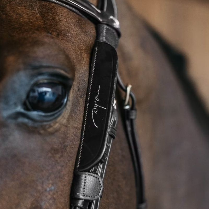 Blinkers Fancy Stitching Svart