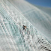 Flugtäcke Newmarket Witney Dynasty Flugtäcke Newmarket Witney Dynasty