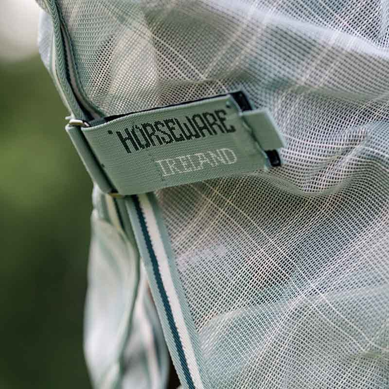 Hals Newmarket Witney Dynasty