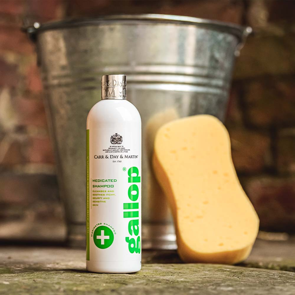 Schampo Gallop Medicated 500ml