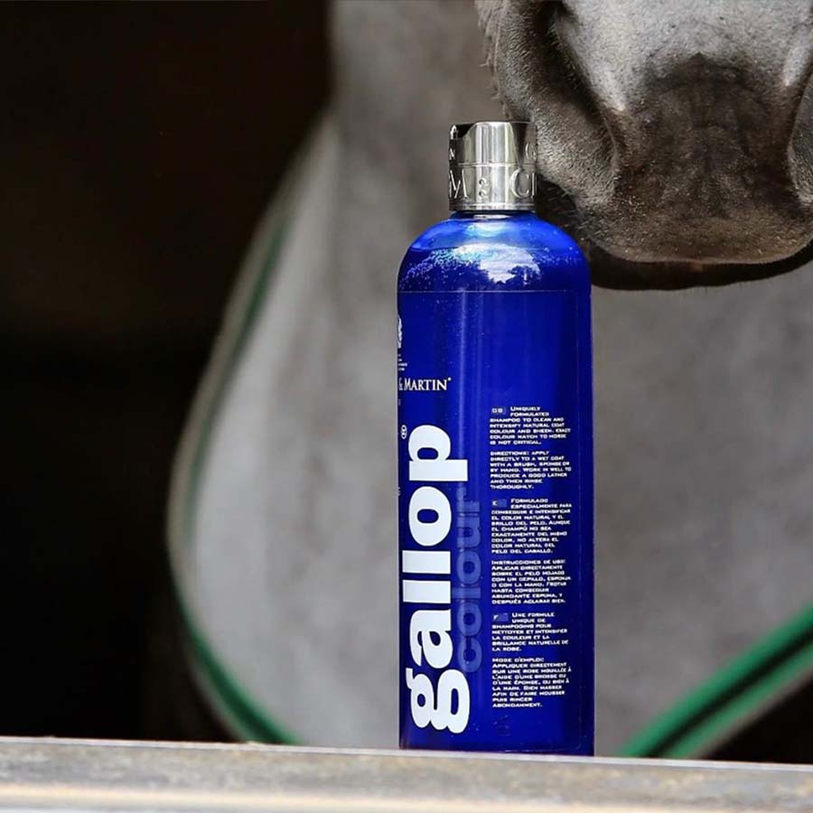 Schampo Gallop Colour Skimmel 500ml