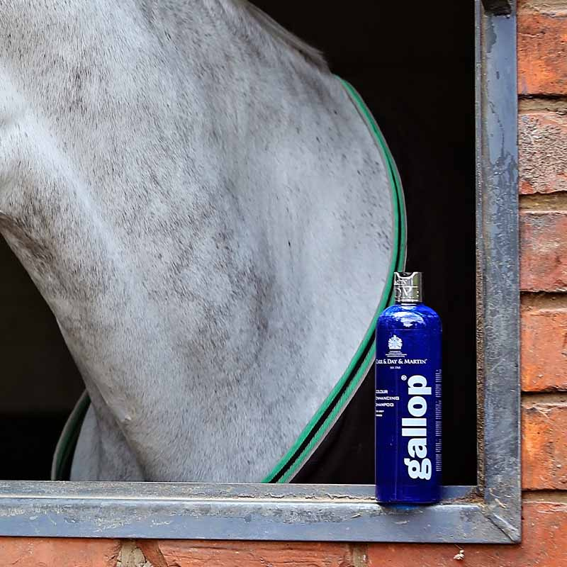 Schampo Gallop Colour Skimmel 500ml