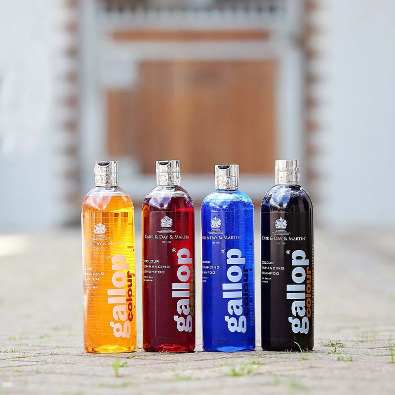 Schampo Gallop Colour Svart 500ml