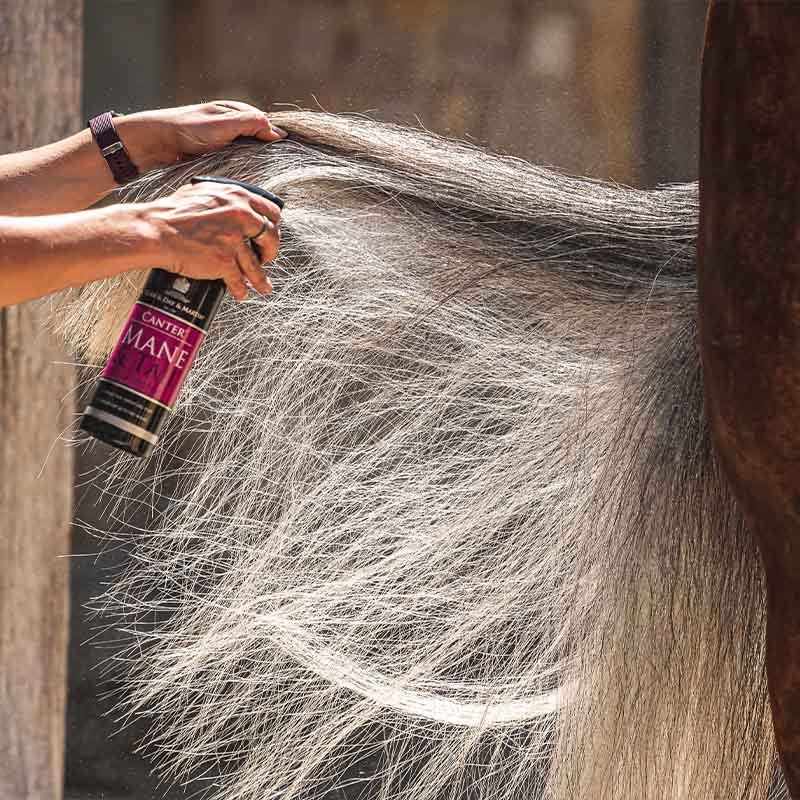Balsamspray Canter Mane & Tail