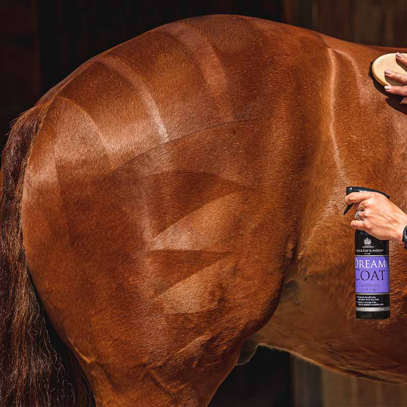 Pälsglans Non Slip Dreamcoat 500ml