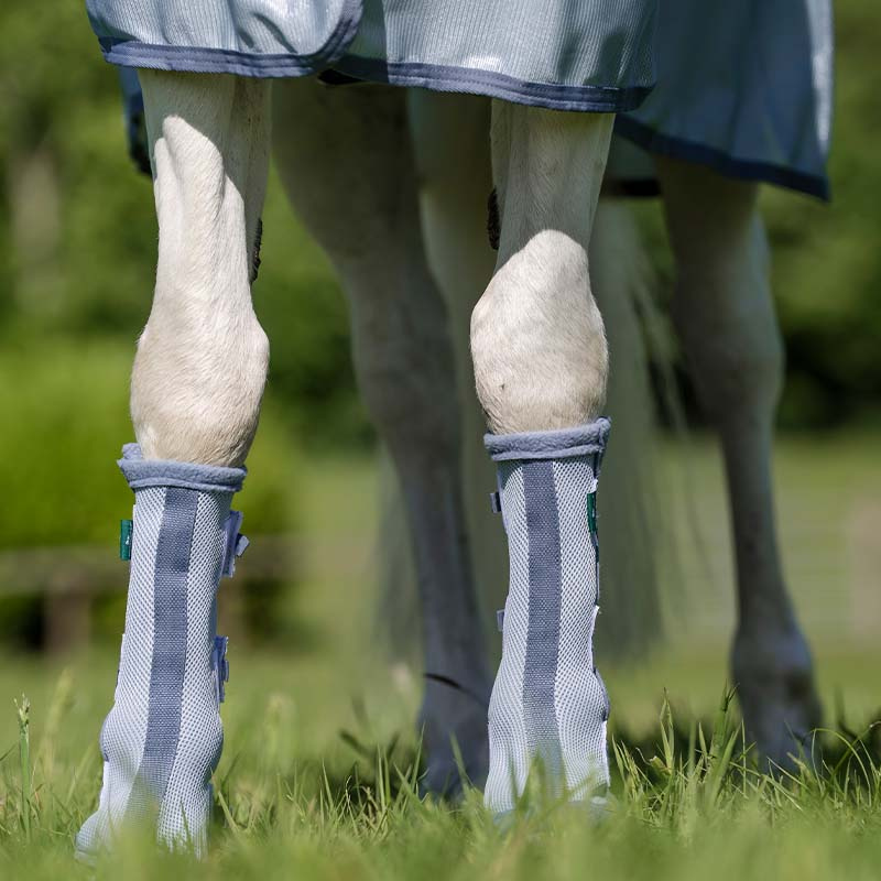 Flugbenskydd Fly Boots Ljusblå/Blå/Silver