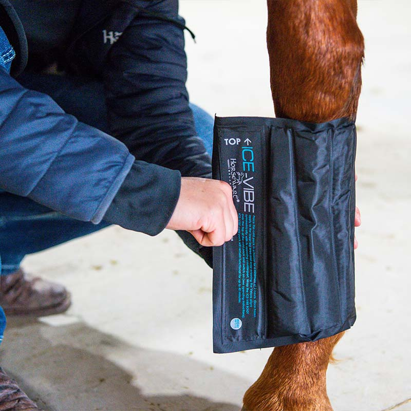 Kyldamasker Ice-Vibe LED Svart/Blå