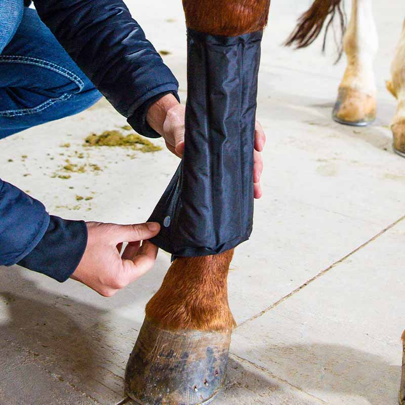 Kyldamasker Ice-Vibe LED Svart/Blå