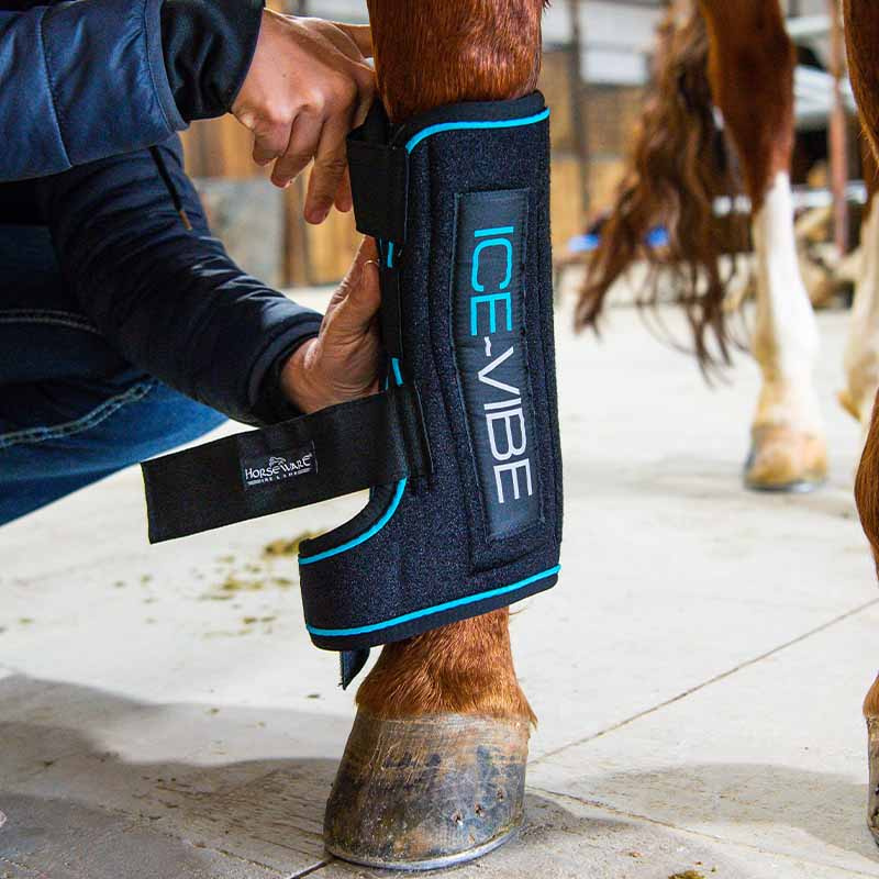 Kyldamasker Ice-Vibe LED Svart/Blå