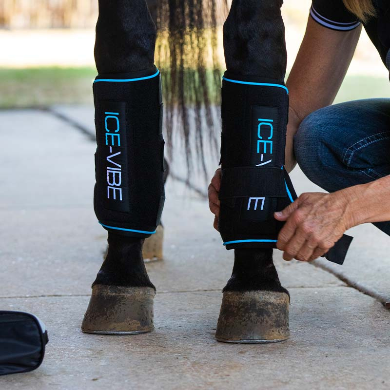 Kyldamasker Ice-Vibe LED Svart/Blå