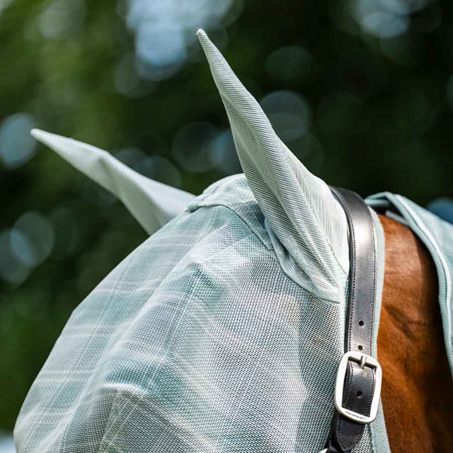 Flughuva Newmarket Witney Dynasty