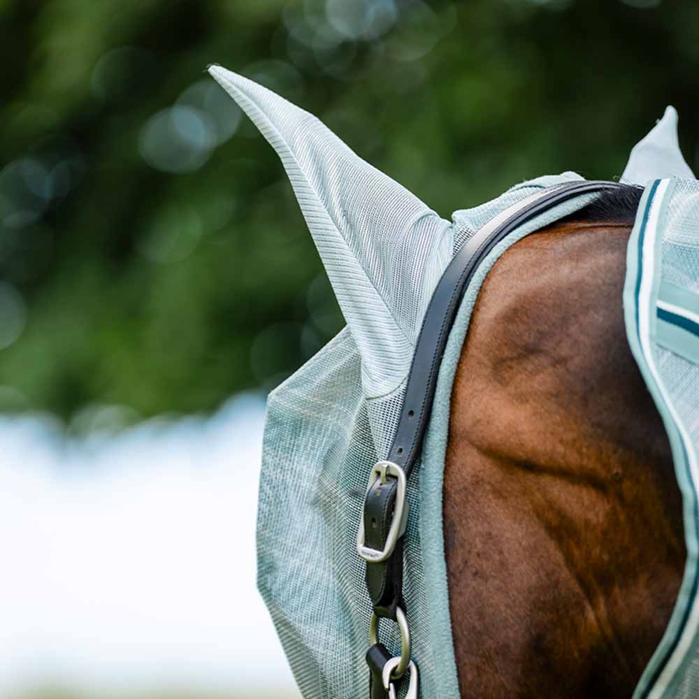 Flughuva Newmarket Witney Dynasty