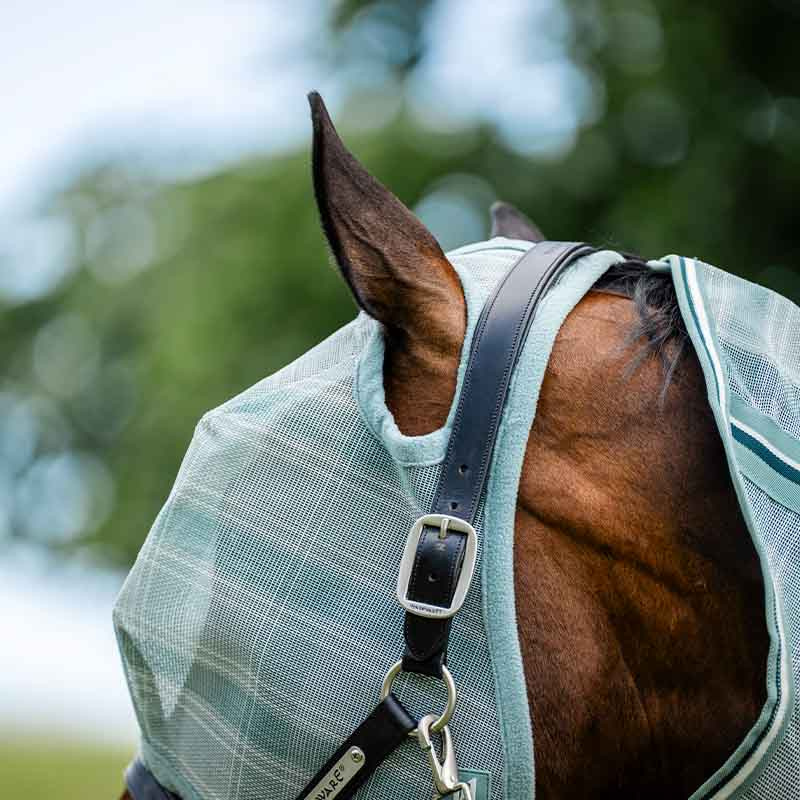 Flughuva Newmarket No Ears Witney Dynasty