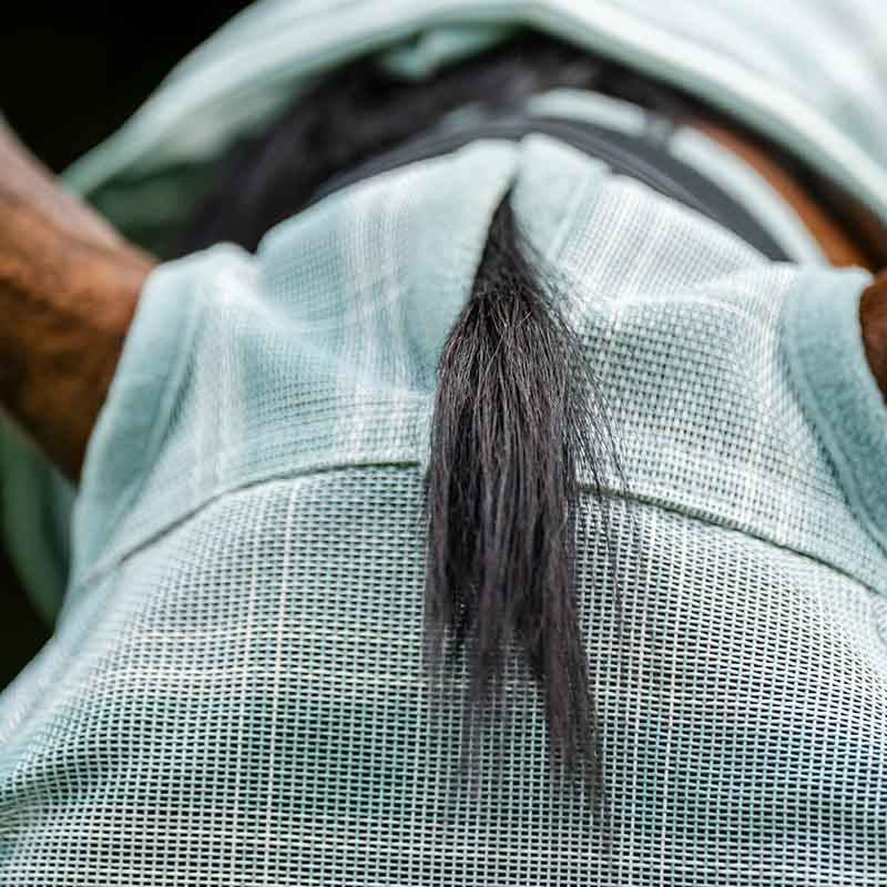 Flughuva Newmarket No Ears Witney Dynasty