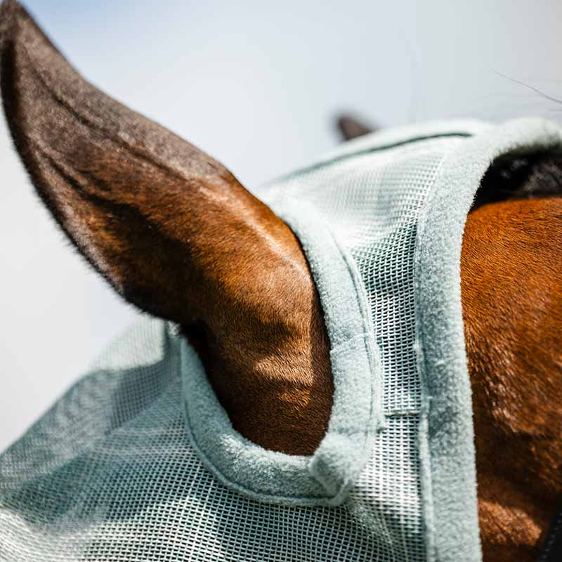 Flughuva Newmarket No Ears Witney Dynasty