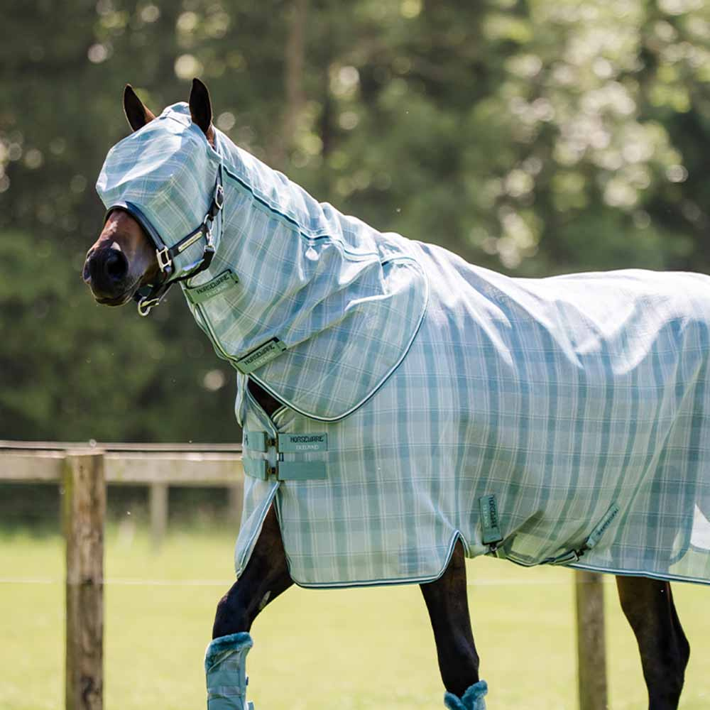 Flughuva Newmarket No Ears Witney Dynasty