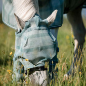 Flughuva Newmarket No Ears Witney Dynasty Flughuva Newmarket No Ears Witney Dynasty