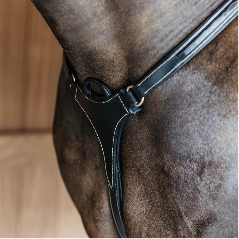5-Punktsbrösta Elastic Dyon Collection Svart