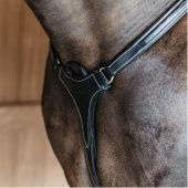 5-Punktsbrösta Elastic Dyon Collection Svart 5-Punktsbrösta Elastic Dyon Collection Svart