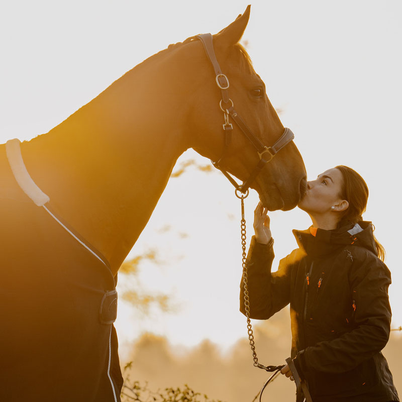 Groominggrimma Artificial Leather Anatomic DC Brun