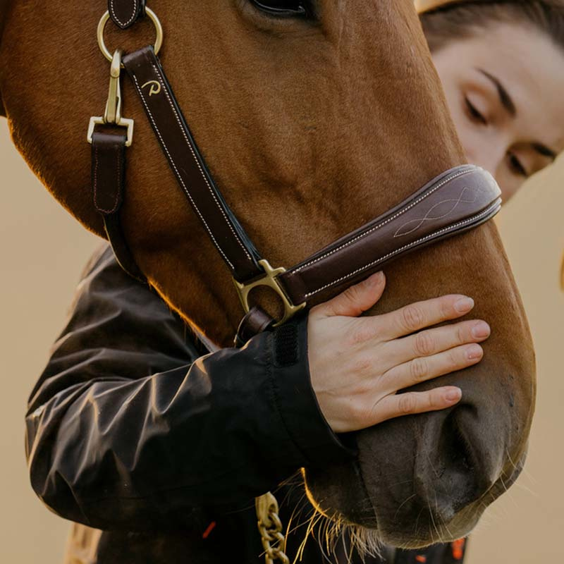 Groominggrimma Artificial Leather Anatomic DC Brun