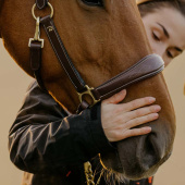 Groominggrimma Artificial Leather Anatomic DC Brun Groominggrimma Artificial Leather Anatomic DC Brun