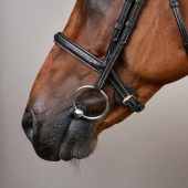 Träns utan Snokrem Plaited Dyon Collection Svart Träns utan Snokrem Plaited Dyon Collection Svart