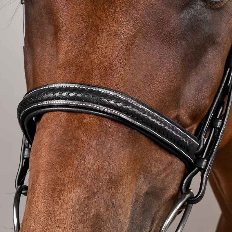 Träns utan Snokrem Plaited Dyon Collection Svart