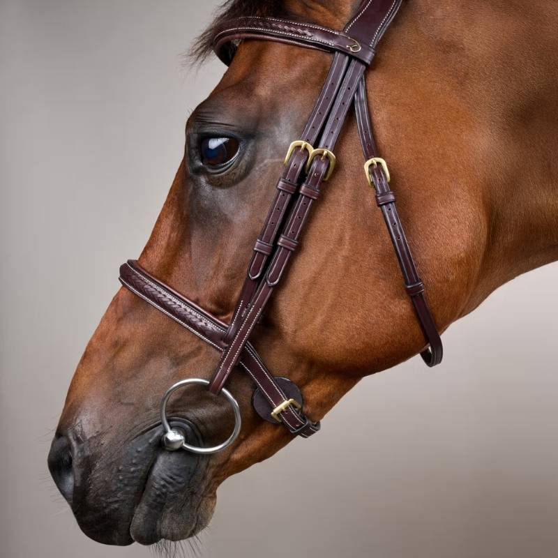 Träns utan Snokrem Plaited Dyon Collection Brun