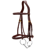 Träns utan Snokrem Plaited Dyon Collection Brun Träns utan Snokrem Plaited Dyon Collection Brun