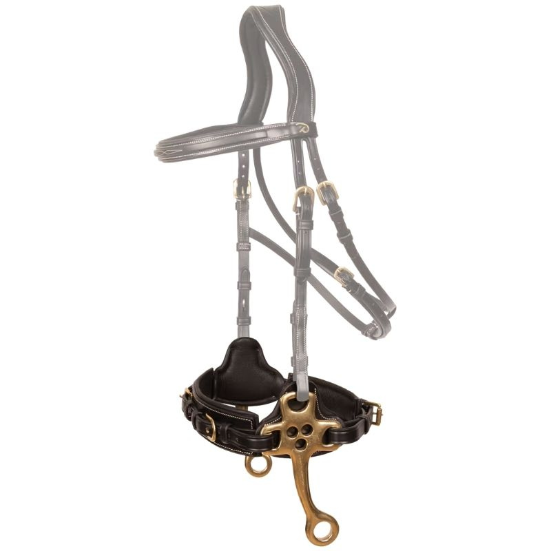 Hackamore Dyon Collection Svart