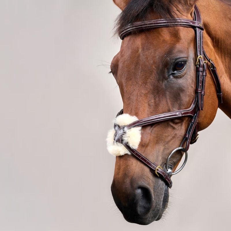 Träns Mexikansk Nosgrimma Dyon Collection Brun