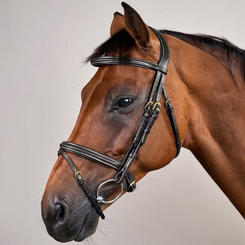 Träns Kombinosgrimma Plaited Dyon Collection Svart