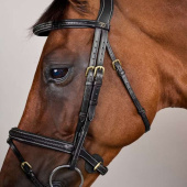 Träns Kombinosgrimma Plaited Dyon Collection Svart Träns Kombinosgrimma Plaited Dyon Collection Svart