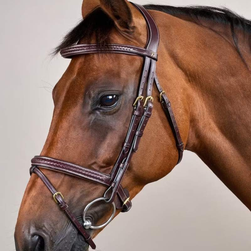 Träns Kombinosgrimma Plaited Dyon Collection Brun