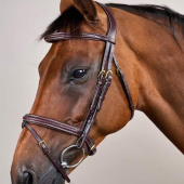 Träns Kombinosgrimma Plaited Dyon Collection Brun Träns Kombinosgrimma Plaited Dyon Collection Brun