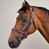 Träns Kombinosgrimma Plaited Dyon Collection Brun Träns Kombinosgrimma Plaited Dyon Collection Brun