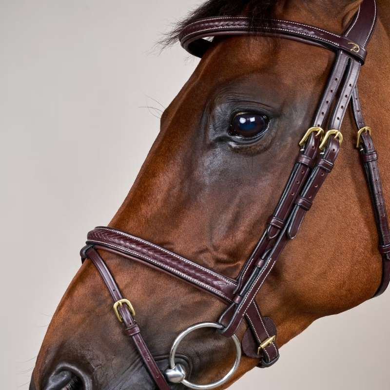 Träns Kombinosgrimma Plaited Dyon Collection Brun
