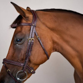Träns Kombinosgrimma Plaited Dyon Collection Brun Träns Kombinosgrimma Plaited Dyon Collection Brun