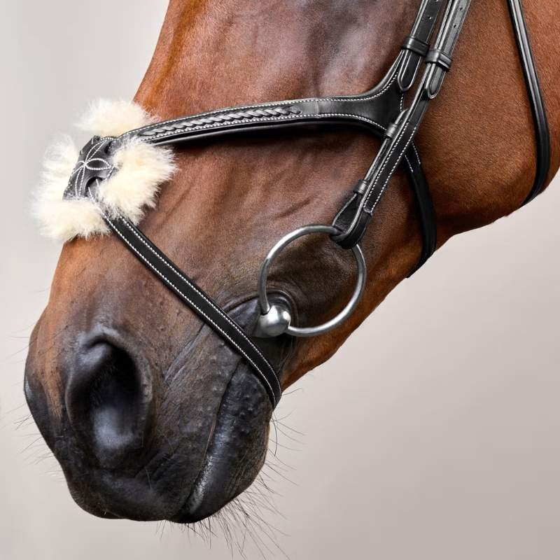Träns Mexikansk Nosgrimma Plaited Dyon Collection Svart