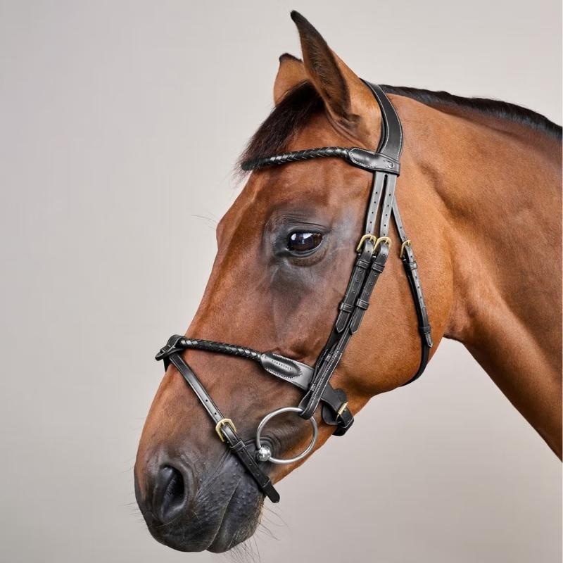 Träns Kombinosgrimma Braided Dyon Collection Svart