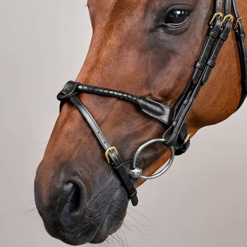 Träns Kombinosgrimma Braided Dyon Collection Svart